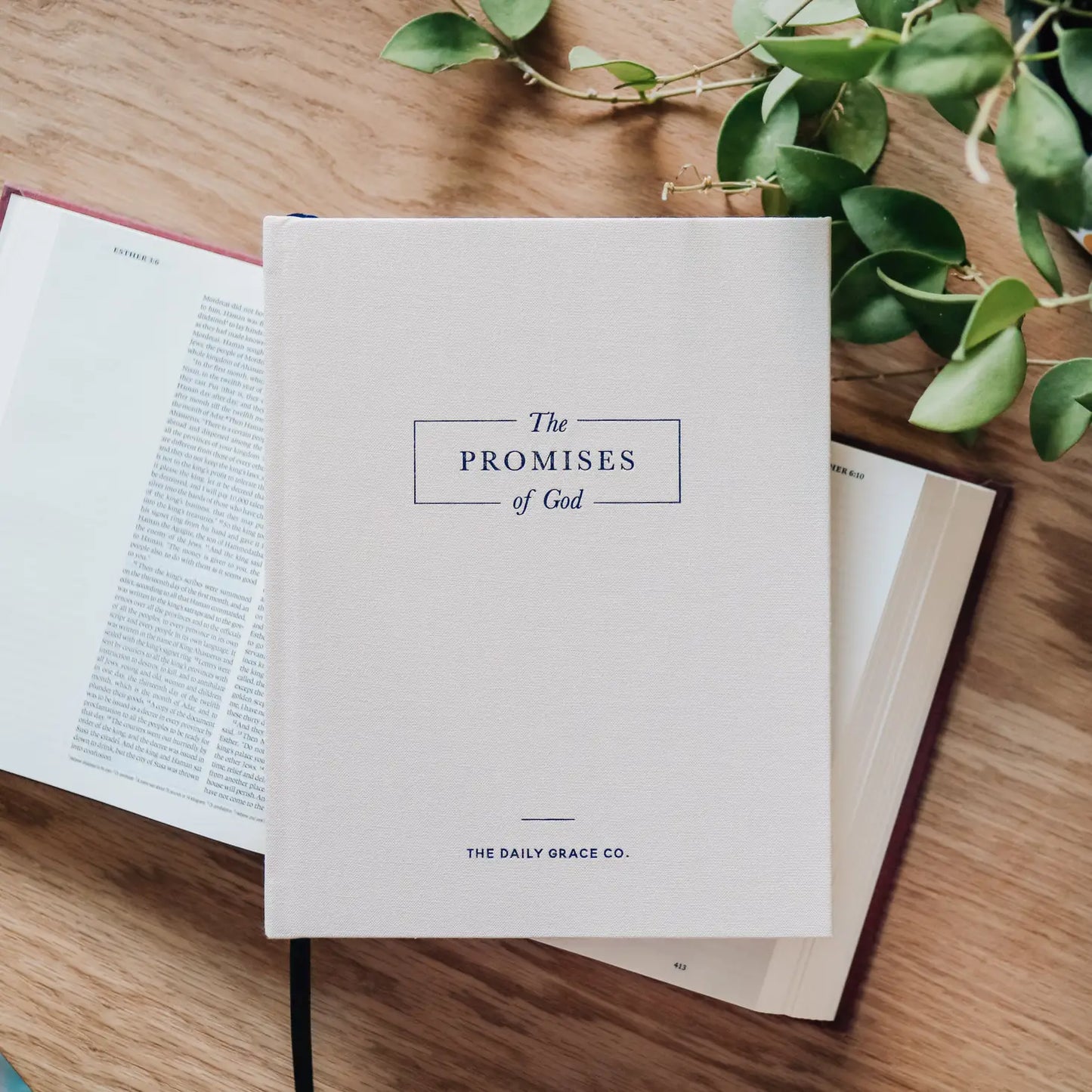 The Promises of God - Coffee Table Book